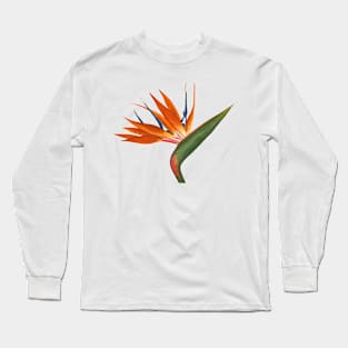 Tangerine Lime Bird of Paradise Flower Long Sleeve T-Shirt